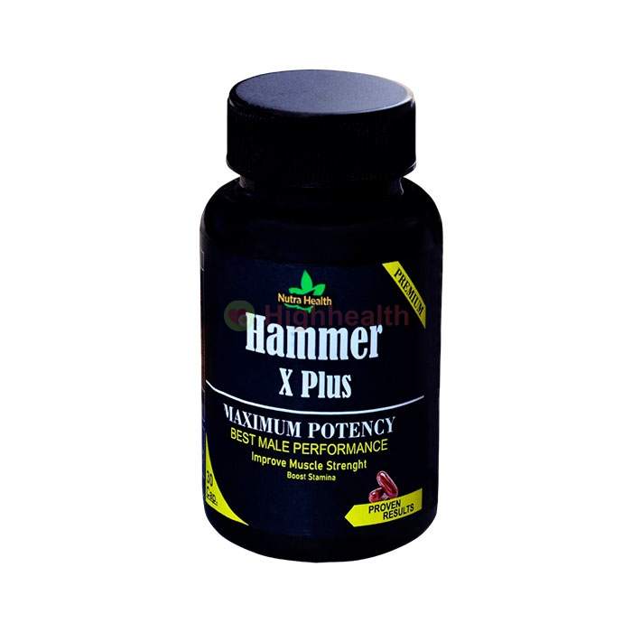 Hammer X Plus | लिंग इज़ाफ़ा उपकरण गुवाहाटी में